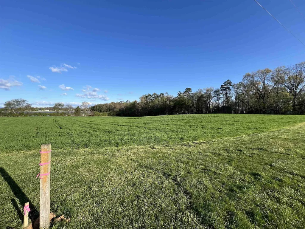 Tbd Morton Road Crimora VA 24431