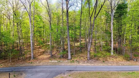 Tbd Hessian Lane Staunton VA 24401