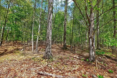 Tbd Hessian Lane Staunton VA 24401