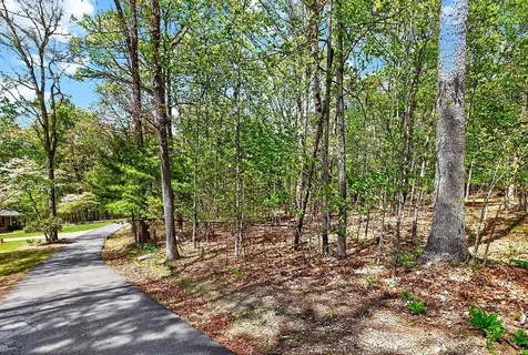 Tbd Hessian Lane Staunton VA 24401
