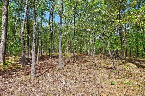 Tbd Hessian Lane Staunton VA 24401