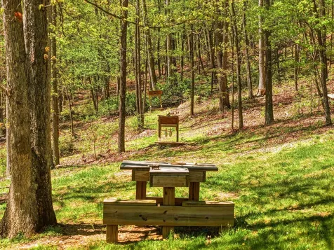 1034 Hepner Road Mt Jackson VA 22842