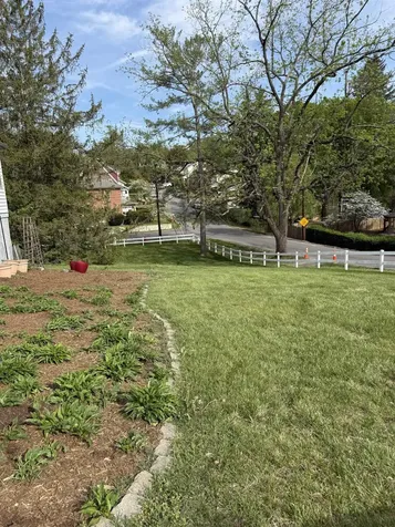 428 Poplar Avenue S Waynesboro VA 22980