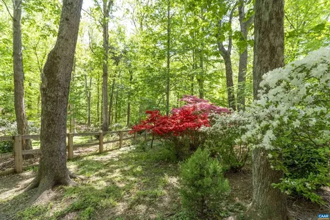 110 Carrsbrook Court Charlottesville VA 22901