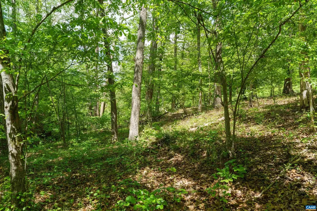 418 James River Road Scottsville VA 24590