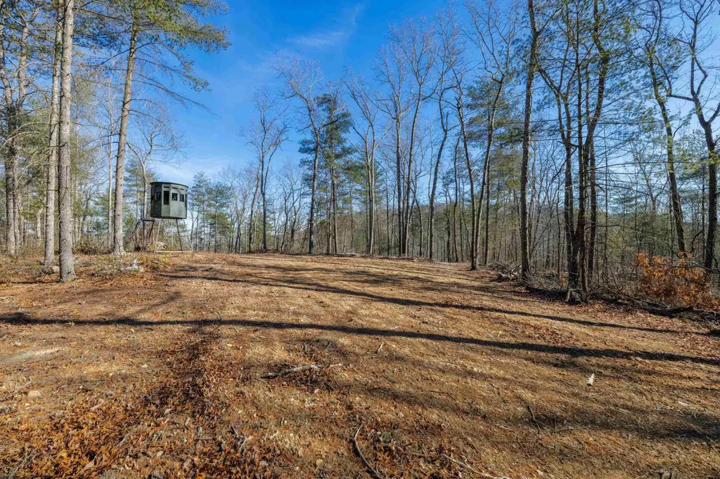 24.97 Ac Stribling Springs Road Mount Solon VA 22843