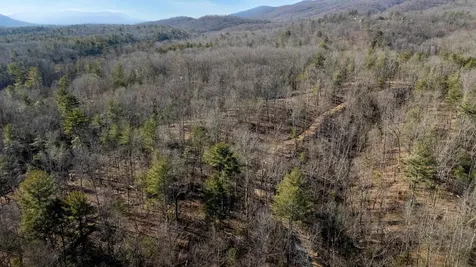 24.97 Ac Stribling Springs Road Mount Solon VA 22843