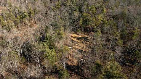 24.97 Ac Stribling Springs Road Mount Solon VA 22843
