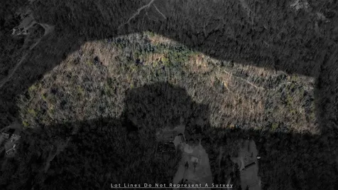 24.97 Ac Stribling Springs Road Mount Solon VA 22843
