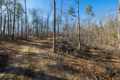 24.97 Ac Stribling Springs Road Mount Solon VA 22843