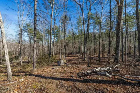 24.97 Ac Stribling Springs Road Mount Solon VA 22843