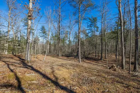 24.97 Ac Stribling Springs Road Mount Solon VA 22843