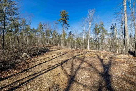 24.97 Ac Stribling Springs Road Mount Solon VA 22843
