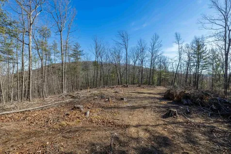 24.97 Ac Stribling Springs Road Mount Solon VA 22843