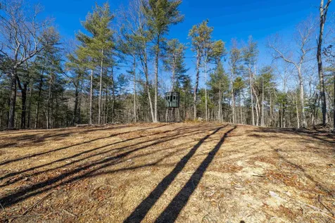 24.97 Ac Stribling Springs Road Mount Solon VA 22843