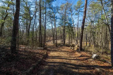 24.97 Ac Stribling Springs Road Mount Solon VA 22843