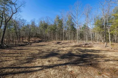 24.97 Ac Stribling Springs Road Mount Solon VA 22843