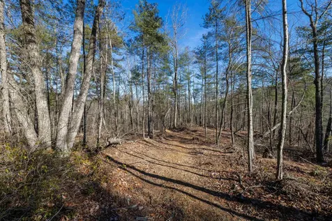 24.97 Ac Stribling Springs Road Mount Solon VA 22843