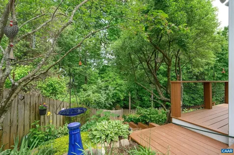 162 Burnet Street Charlottesville VA 22902