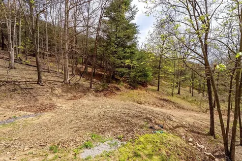 24 Strauter Road Franklin WV 26807