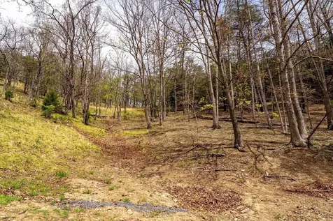 24 Strauter Road Franklin WV 26807