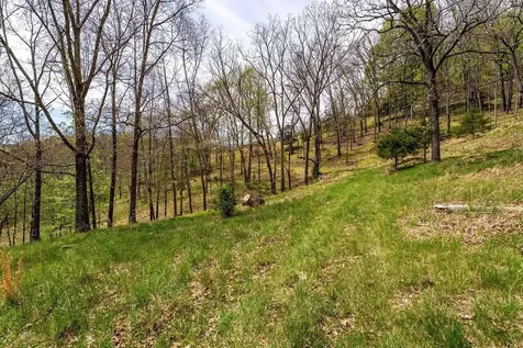24 Strauter Road Franklin WV 26807