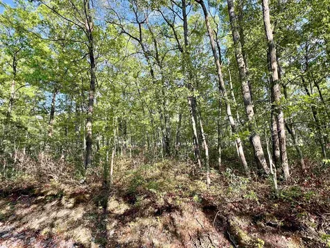LOT#18 Scenic Hills Drive Waynesboro VA 22980