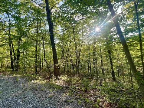 LOT#18 Scenic Hills Drive Waynesboro VA 22980