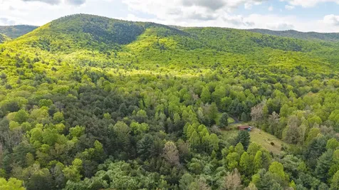 161 Glover Run Goshen VA 24439