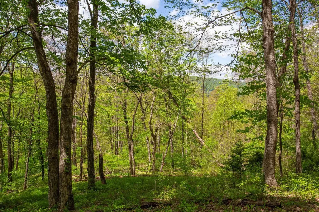 0 Church Mountain Lane Fulks Run VA 22830