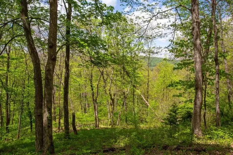 0 Church Mountain Lane Fulks Run VA 22830
