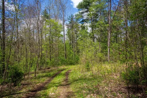 0 Church Mountain Lane Fulks Run VA 22830
