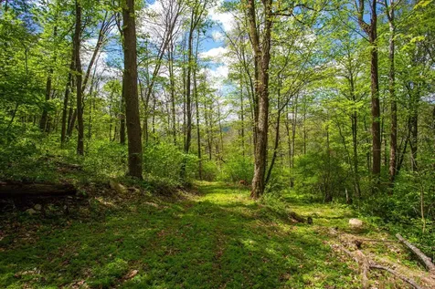 0 Church Mountain Lane Fulks Run VA 22830