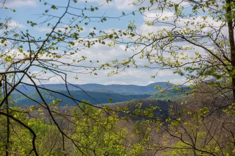 0 Church Mountain Lane Fulks Run VA 22830