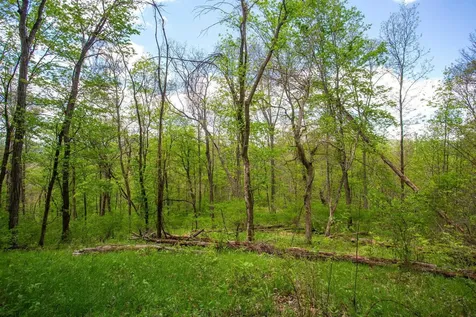 0 Church Mountain Lane Fulks Run VA 22830