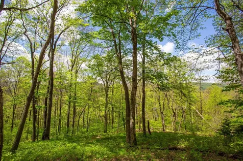 0 Church Mountain Lane Fulks Run VA 22830