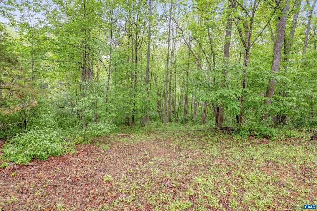 1621 Shady Grove Court Charlottesville VA 22902