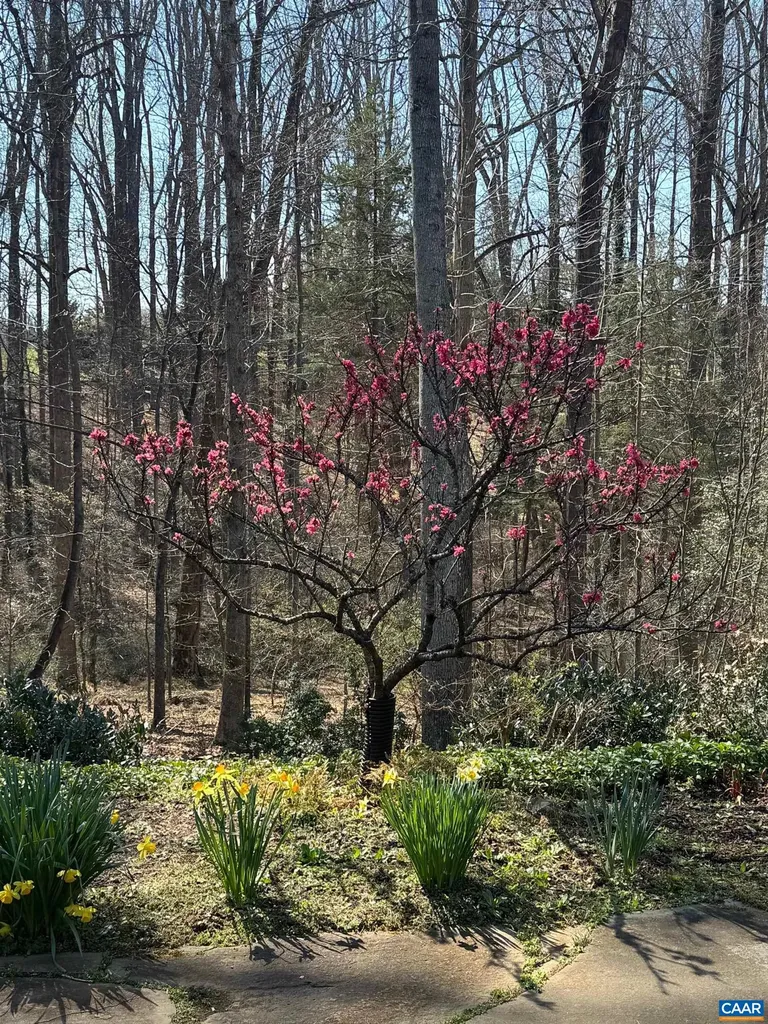 889 Old Garth Road Charlottesville VA 22901