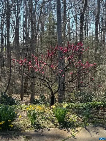 889 Old Garth Road Charlottesville VA 22901