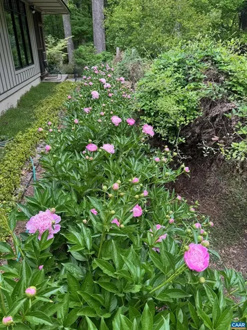889 Old Garth Road Charlottesville VA 22901
