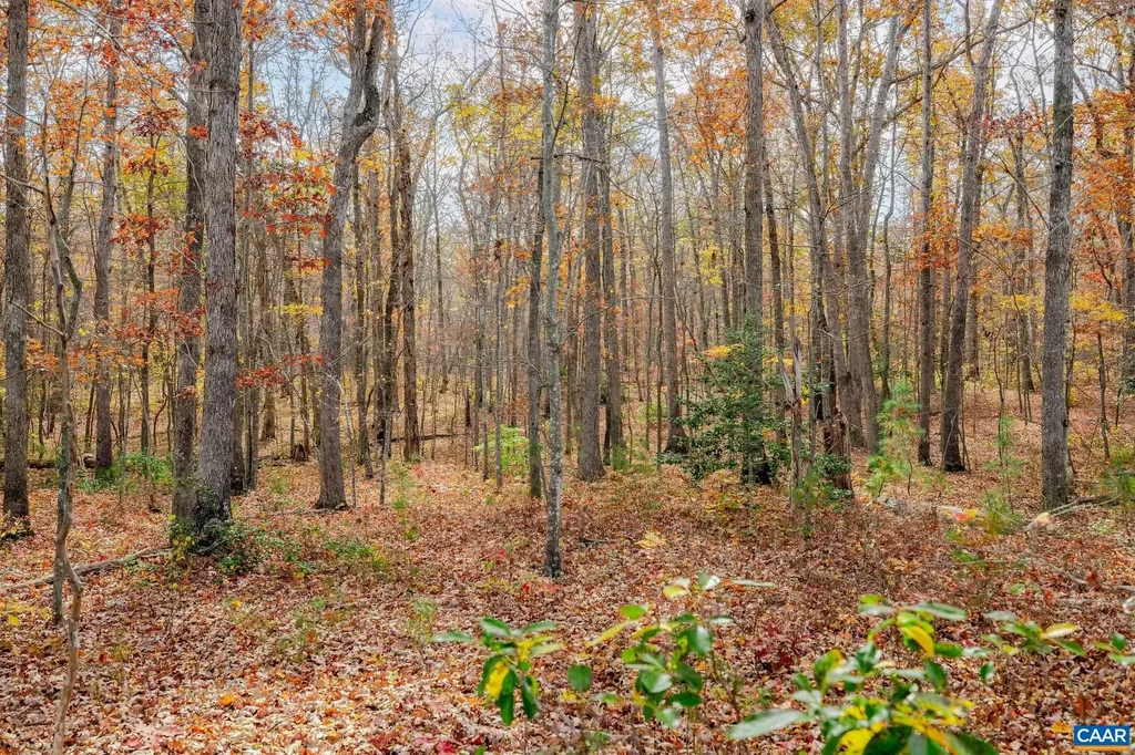 21 Acres Tbb Coles Rolling Road Scottsville VA 24590