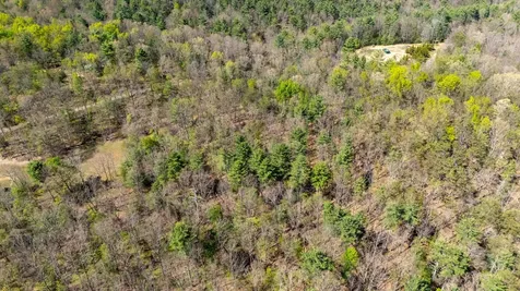 Tbd Camp Hollow Lane Fulks Run VA 22830