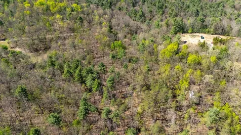 Tbd Camp Hollow Lane Fulks Run VA 22830