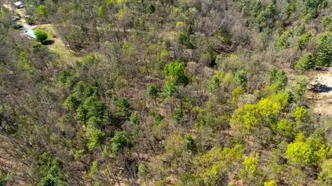 Tbd Camp Hollow Lane Fulks Run VA 22830