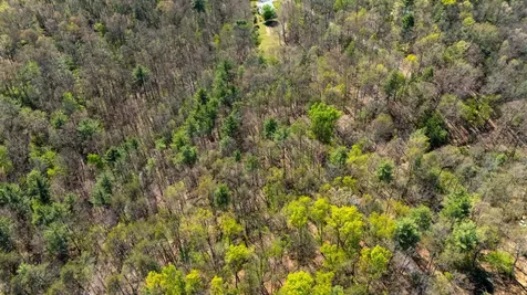 Tbd Camp Hollow Lane Fulks Run VA 22830