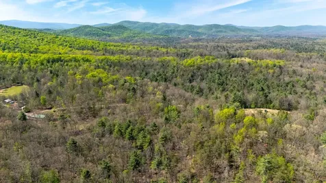 Tbd Camp Hollow Lane Fulks Run VA 22830