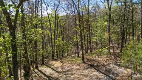 Tbd Camp Hollow Lane Fulks Run VA 22830