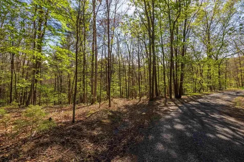 Tbd Camp Hollow Lane Fulks Run VA 22830