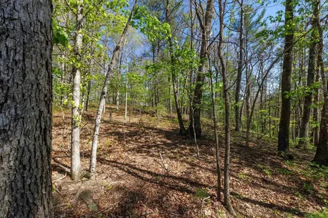 Tbd Camp Hollow Lane Fulks Run VA 22830