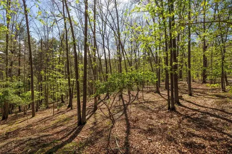 Tbd Camp Hollow Lane Fulks Run VA 22830